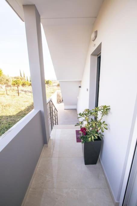Over The Horizon 3 Bedroom Apartment Nauplia Exterior foto